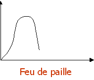 feu de paille, produits, consomateur se lasse rpaidement, consommateur, cycle de vie, westudy, wesharebonds